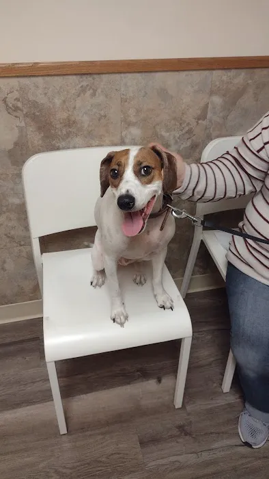 Shirkey Veterinary Clinic Picture 2