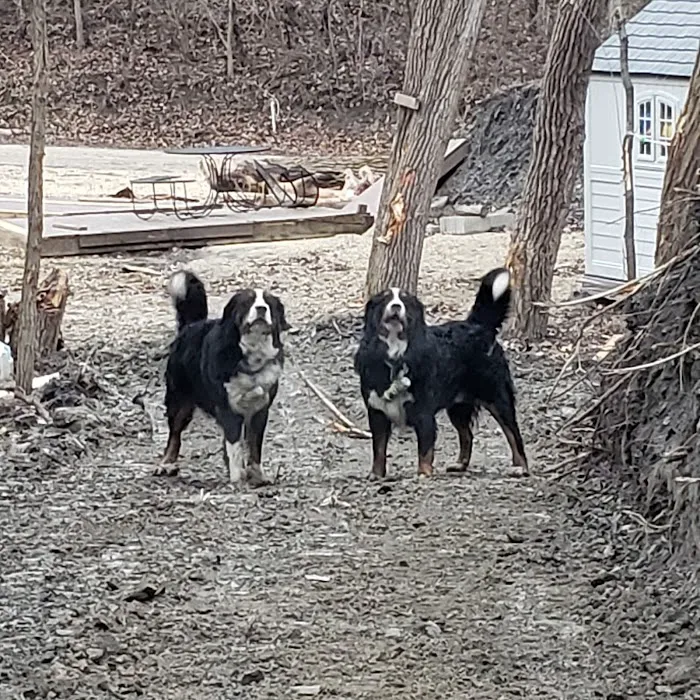 Shirkey Veterinary Clinic Picture 7