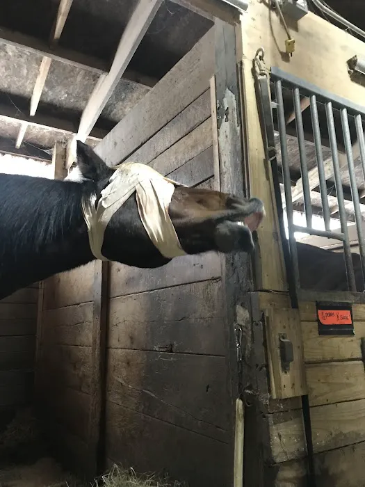 Country Care Animal Hospital, PC Picture 1