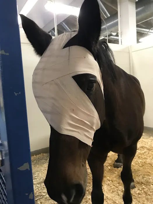 Country Care Animal Hospital, PC Picture 2