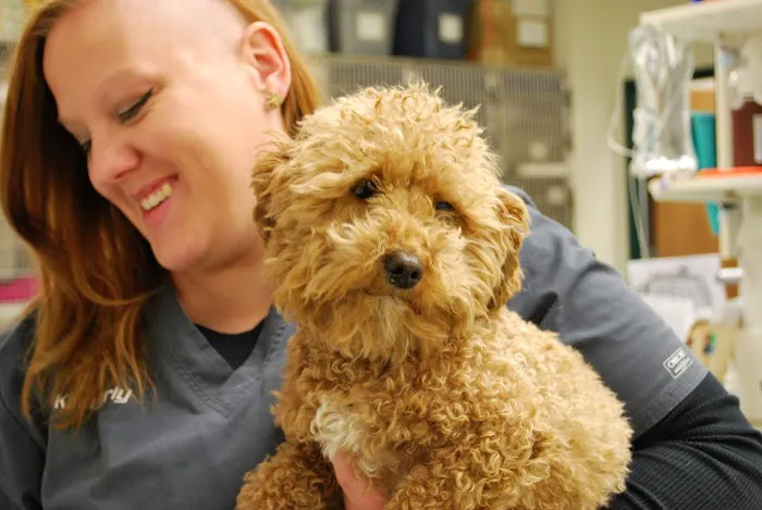 Mallard Point Veterinary Clinic Picture 3