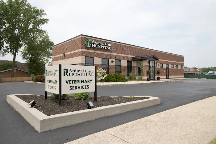 Animal Care Hospital of Morris Inc Picture 1