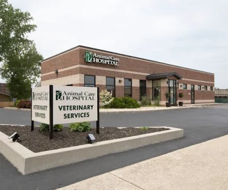 Animal Care Hospital of Morris Inc