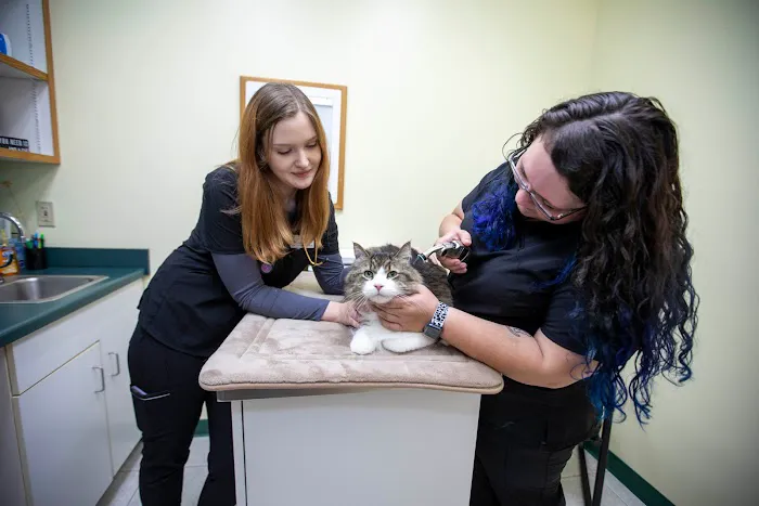 Animal Care Hospital of Morris Inc Picture 2