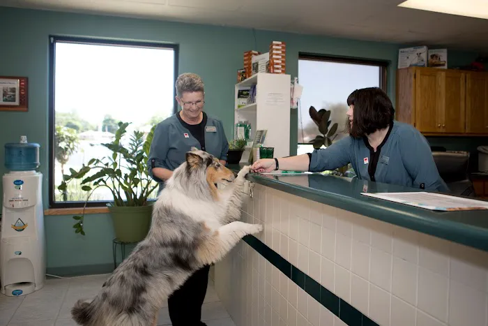 Animal Care Hospital of Morris Inc Picture 4