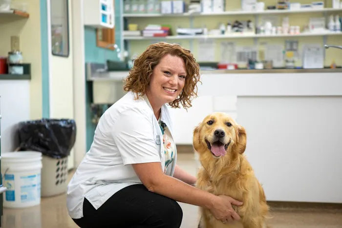 Animal Care Hospital of Morris Inc Picture 5