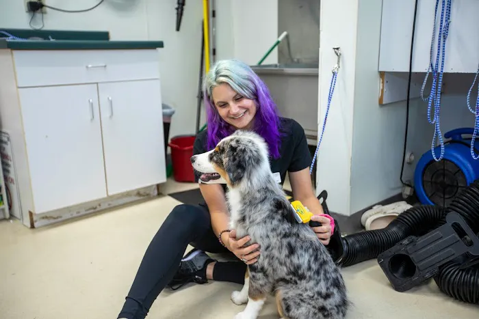 Animal Care Hospital of Morris Inc Picture 9