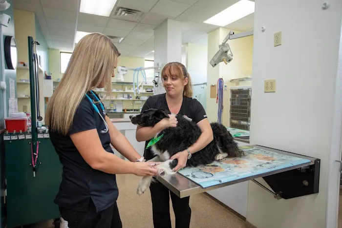 Animal Care Hospital of Morris Inc Picture 8