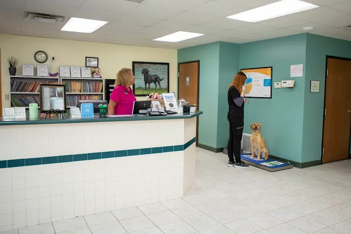 Animal Care Hospital of Morris Inc Picture 7