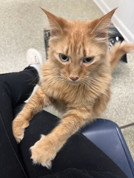 Sugar Grove Animal Hospital Picture 3