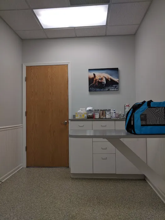 Sugar Grove Animal Hospital Picture 8