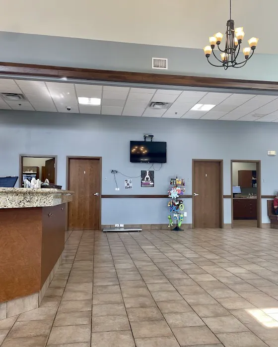 Yorkville Animal Hospital Picture 1