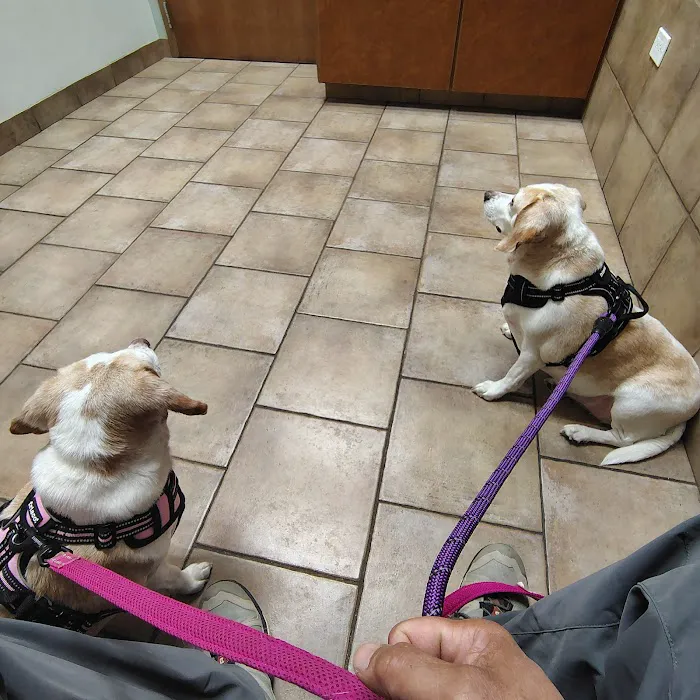 Yorkville Animal Hospital Picture 2