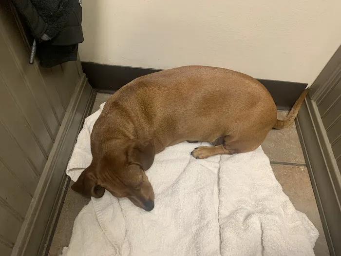 Meadow View Veterinary Clinic Picture 10