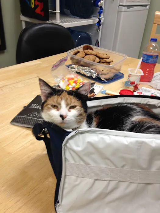 Valley Animal Hospital Picture 3