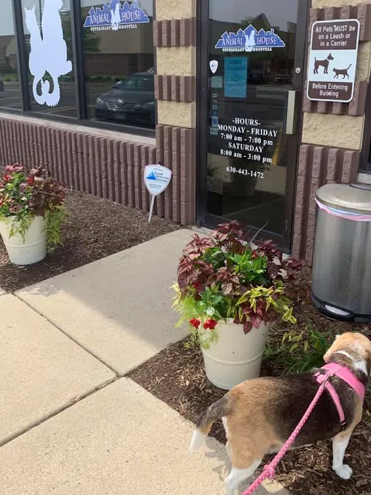 Animal House Veterinary Hospital Picture 1