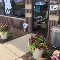 Animal House Veterinary Hospital ico