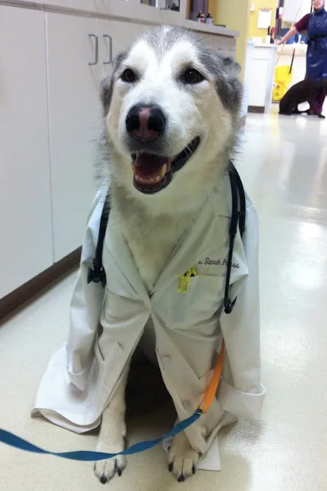 Animal House Veterinary Hospital Picture 8
