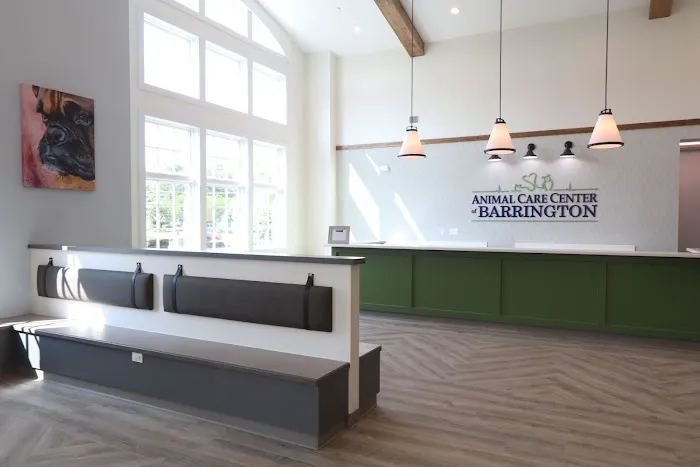Animal Care Center of Barrington & Dental Referral Service Picture 3
