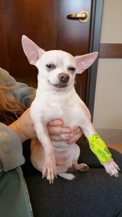 Animal Care Center of Barrington & Dental Referral Service Picture 5