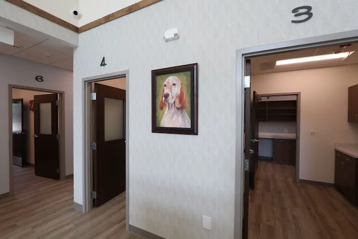 Animal Care Center of Barrington & Dental Referral Service Picture 6