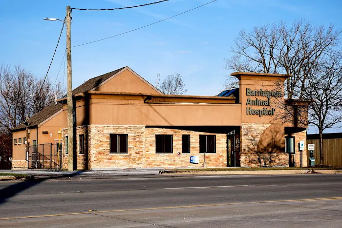 Animal Care Center of Barrington & Dental Referral Service Picture 10