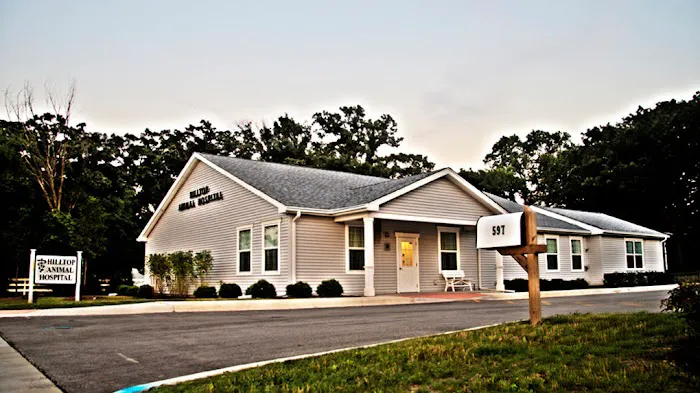 Hilltop Animal Hospital - Experienced Veterinarian in Palatine Picture 1