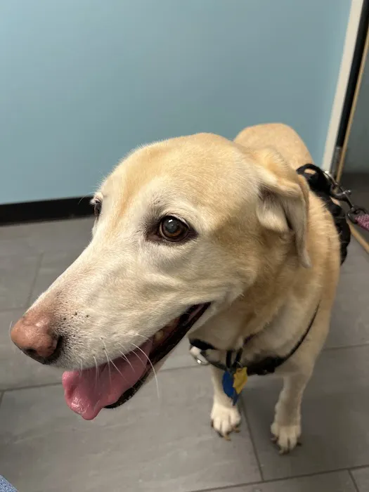 Banfield Pet Hospital Picture 1