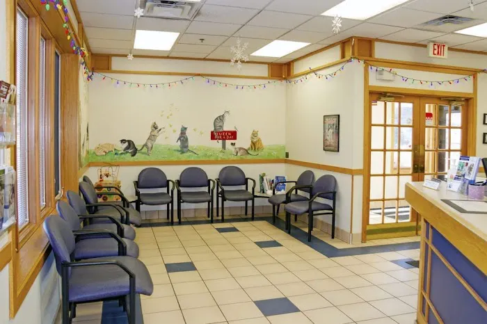 Dundee Animal Hospital Picture 4