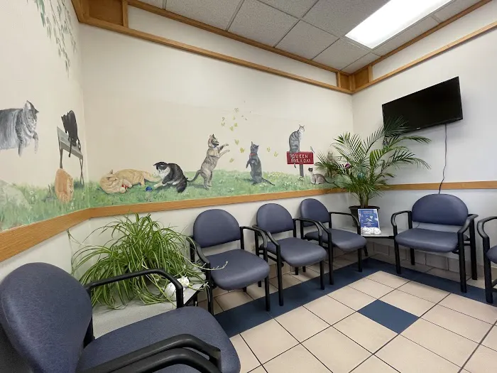 Dundee Animal Hospital Picture 7