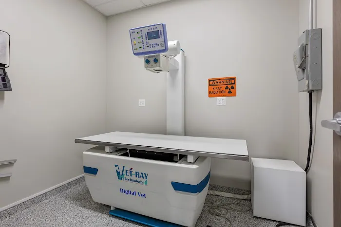 Spring Hill Veterinary Clinic Picture 8