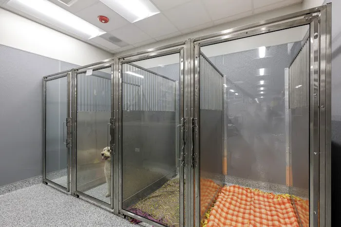 Spring Hill Veterinary Clinic Picture 6
