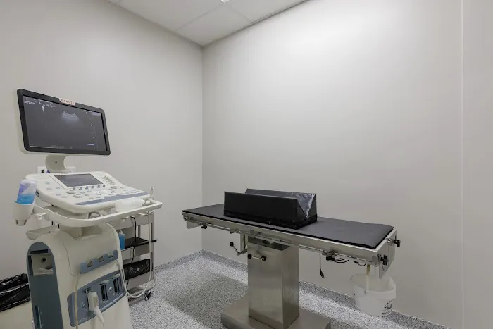 Spring Hill Veterinary Clinic Picture 7