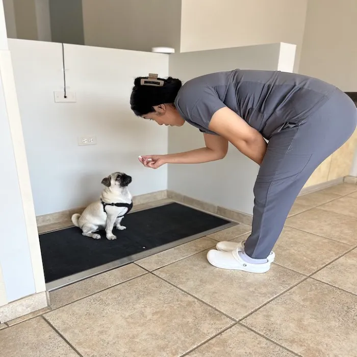 Kindred Pet Care Picture 2