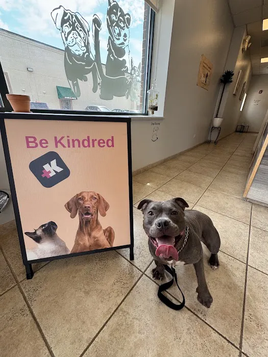 Kindred Pet Care Picture 8
