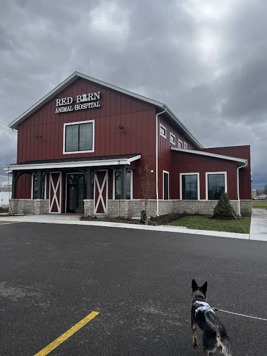 Red Barn Animal Hospital of Gilberts Picture 4