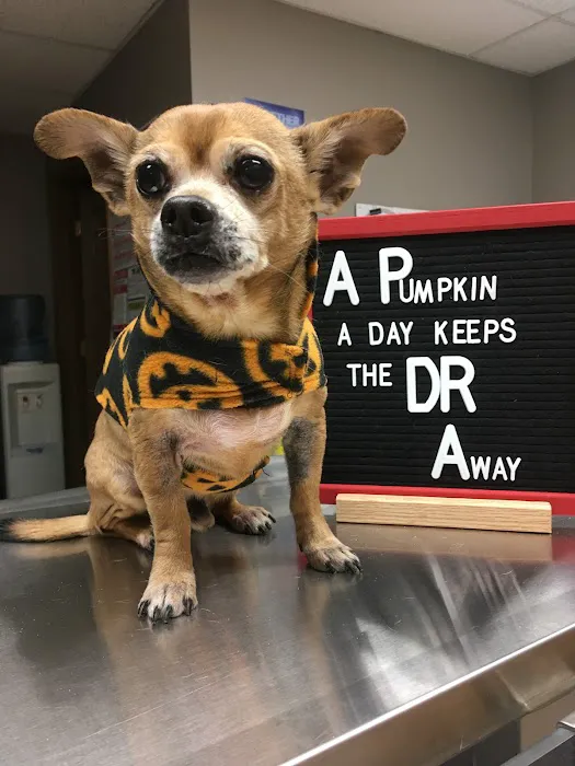 Red Barn Animal Hospital of Gilberts Picture 6