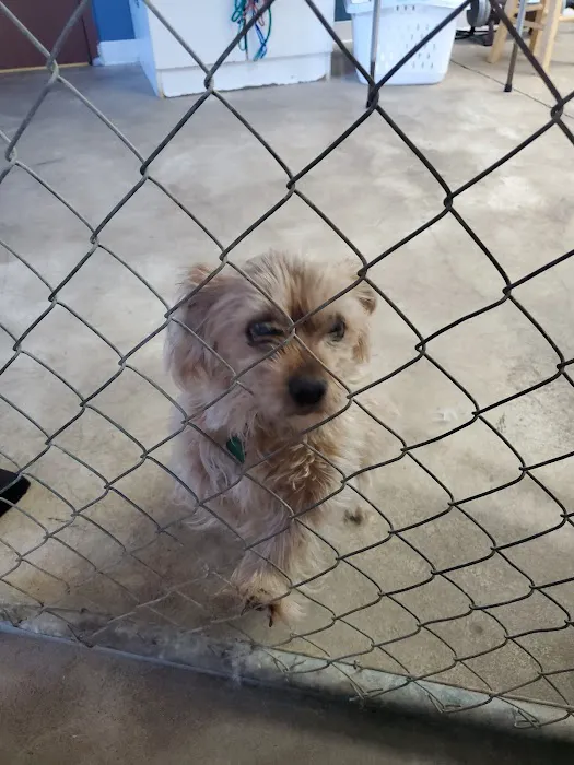 All Creatures Animal Hospital Picture 4