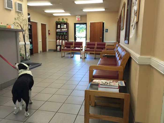 All Creatures Animal Hospital Picture 3