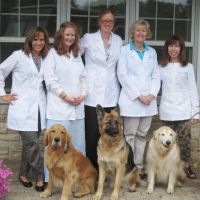 Skycrest Animal Clinic ico