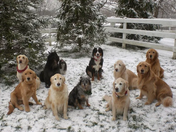 Skycrest Animal Clinic Picture 5