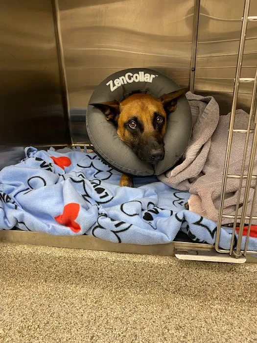 Skycrest Animal Clinic Picture 9