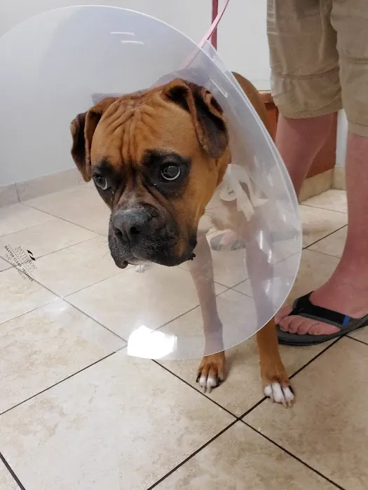 Lincolnshire Animal Hospital Picture 6
