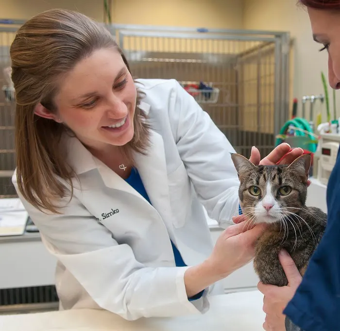 PetCure Oncology Central Office - Advanced Cancer Treatments for Cats & Dogs Picture 7