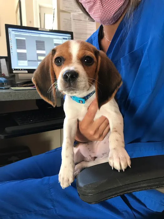 Animal Medical Center at Fort Sheridan (vet) Picture 5
