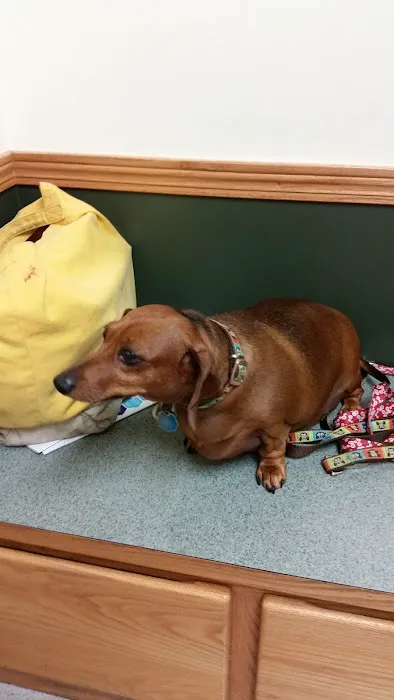 Northwest Veterinary Clinic Picture 1