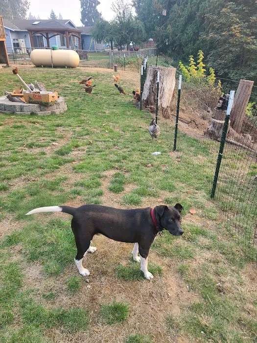 Northwest Veterinary Clinic Picture 10