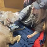All Creatures Veterinary Services: Civey Jim DVM