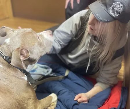 All Creatures Veterinary Services: Civey Jim DVM