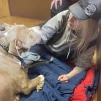 All Creatures Veterinary Services ico
